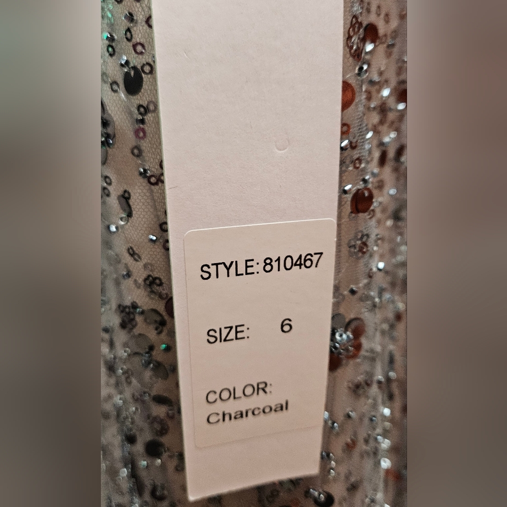 Clarisse #810467 Charcoal Beaded Prom Dress, Size 6 - Picture 8 of 8